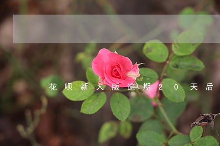 花呗新人版逾期20天后果 花呗新人版逾期20天后果