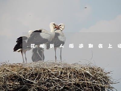 花呗新人版逾期会上征信吗 花呗新人版逾期会上征信吗
