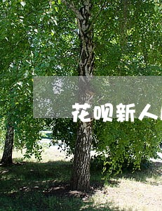 花呗新人版逾期还款要利息吗 花呗新人版逾期还款要利息吗