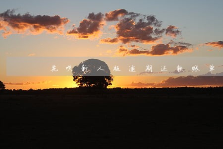 花呗新人版逾期还款账单 花呗新人版逾期还款账单