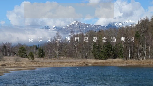 花呗无法使用是恶意逾期吗 花呗无法使用是恶意逾期吗
