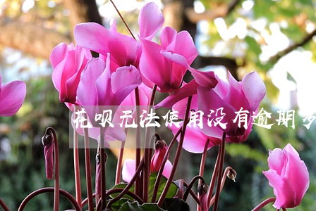 花呗无法使用没有逾期多久恢复 花呗无法使用没有逾期多久恢复