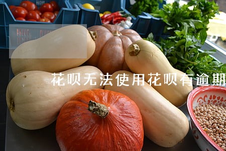 花呗无法使用花呗有逾期记录
