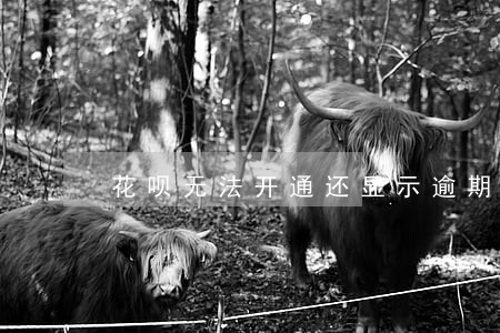 花呗无法开通还显示逾期 花呗无法开通还显示逾期