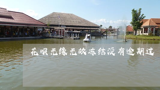 花呗无缘无故冻结没有逾期过 花呗无缘无故冻结没有逾期过