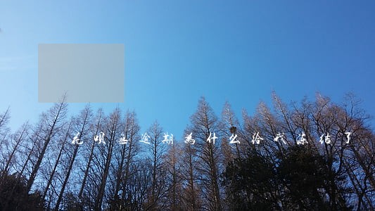 花呗无逾期为什么给我冻结了 花呗无逾期为什么给我冻结了