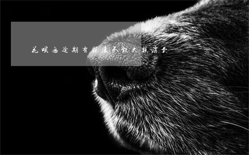 花呗无逾期有额度不能大额消费 花呗无逾期有额度不能大额消费