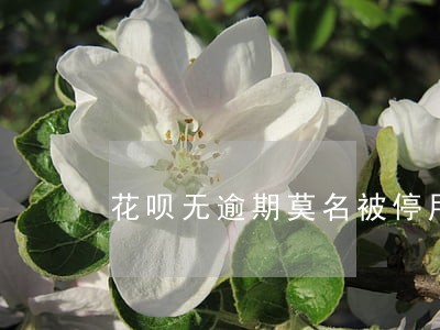 花呗无逾期莫名被停用可以投诉吗 花呗无逾期莫名被停用可以投诉吗
