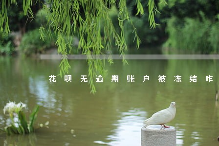 花呗无逾期账户被冻结咋回事 花呗无逾期账户被冻结咋回事