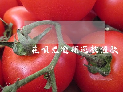 花呗无逾期还被催款 花呗无逾期还被催款