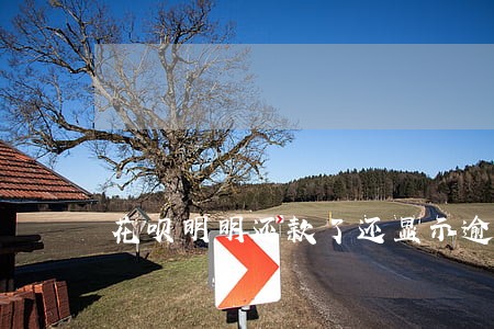 花呗明明还款了还显示逾期 花呗明明还款了还显示逾期