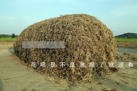花呗是不是逾期了就没有额度 花呗是不是逾期了就没有额度