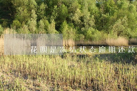 花呗是冻结状态逾期还款会怎么样 花呗是冻结状态逾期还款会怎么样
