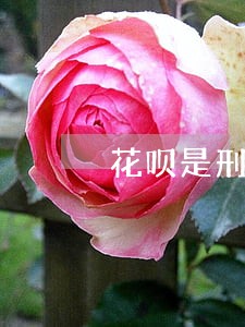花呗是刑事诉讼吗 花呗是刑事诉讼吗
