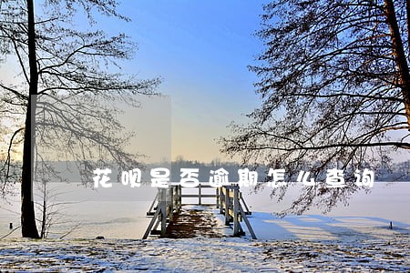 花呗是否逾期怎么查询 花呗是否逾期怎么查询