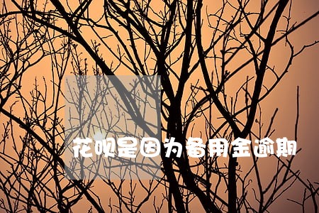 花呗是因为备用金逾期 花呗是因为备用金逾期
