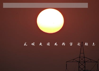 花呗是因为拘留逾期怎么处理 花呗是因为拘留逾期怎么处理