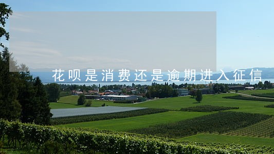 花呗是消费还是逾期进入征信 花呗是消费还是逾期进入征信