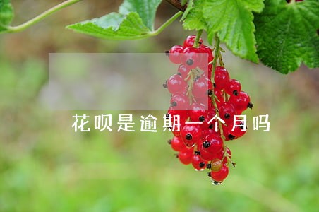 花呗是逾期一个月吗 花呗是逾期一个月吗