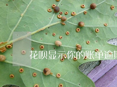 花呗显示你的账单逾期未还