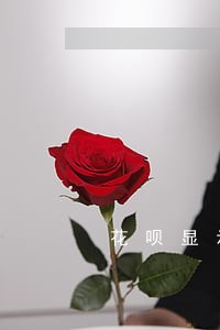 花呗显示信贷产品逾期未还 花呗显示信贷产品逾期未还