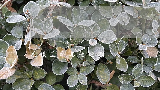 花呗显示其他逾期 花呗显示其他逾期