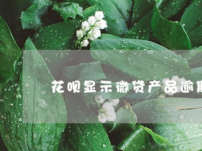 花呗显示微贷产品逾期记录 花呗显示微贷产品逾期记录