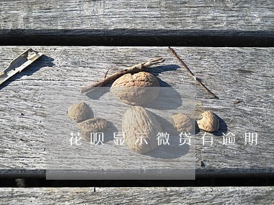 花呗显示微贷有逾期 花呗显示微贷有逾期