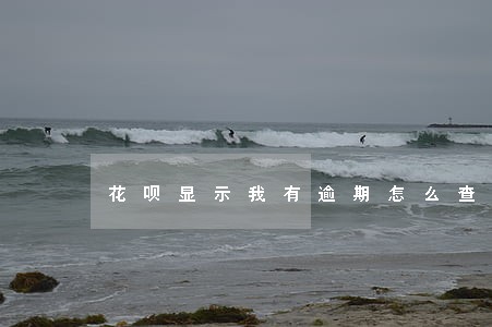 花呗显示我有逾期怎么查