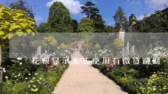 花呗显示无法使用有微贷逾期