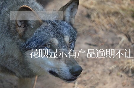 花呗显示有产品逾期不让用