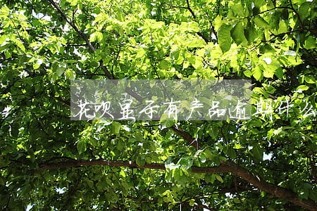 花呗显示有产品逾期什么意思 花呗显示有产品逾期什么意思