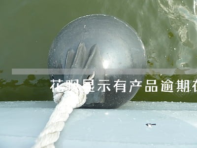 花呗显示有产品逾期在哪里查 花呗显示有产品逾期在哪里查