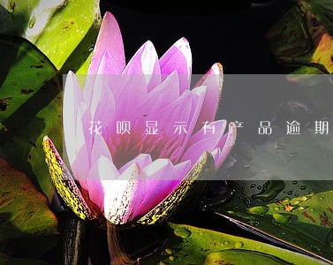 花呗显示有产品逾期多久能恢复 花呗显示有产品逾期多久能恢复