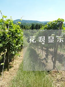 花呗显示有产品逾期要怎么办 花呗显示有产品逾期要怎么办