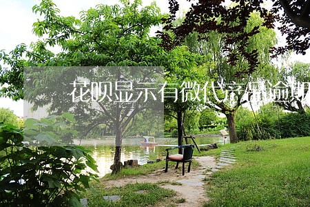 花呗显示有微代产品逾期 花呗显示有微代产品逾期