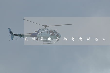 花呗显示有微贷逾期怎么解除 花呗显示有微贷逾期怎么解除