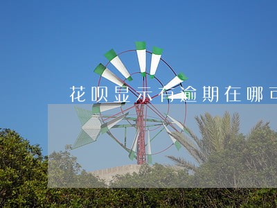 花呗显示有逾期在哪可以看 花呗显示有逾期在哪可以看