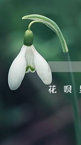 花呗显示有逾期在哪里看 花呗显示有逾期在哪里看