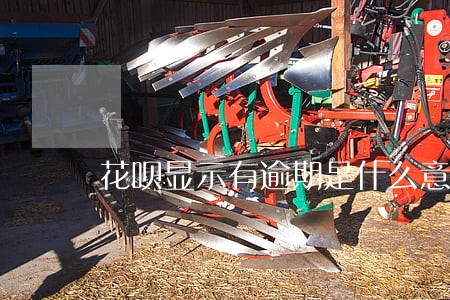 花呗显示有逾期是什么意思 花呗显示有逾期是什么意思