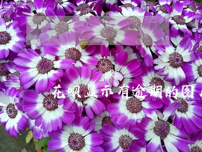 花呗显示有逾期的图片 花呗显示有逾期的图片