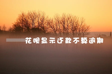 花呗显示还款不算逾期 花呗显示还款不算逾期