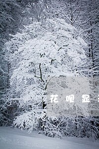 花呗显示还款了显示逾期 花呗显示还款了显示逾期