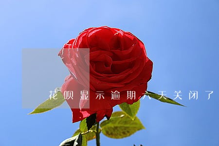 花呗显示逾期六天关闭了 花呗显示逾期六天关闭了