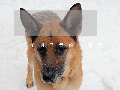 花呗显示逾期四天 花呗显示逾期四天