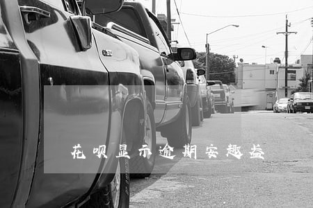 花呗显示逾期安趣盈 花呗显示逾期安趣盈