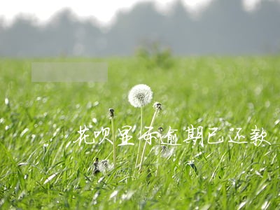 花呗显示逾期已还款 花呗显示逾期已还款