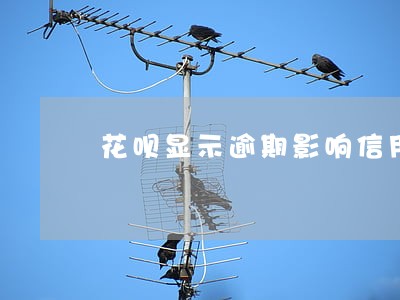 花呗显示逾期影响信用 花呗显示逾期影响信用