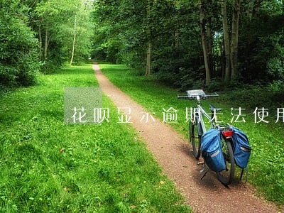 花呗显示逾期无法使用是什么情况 花呗显示逾期无法使用是什么情况