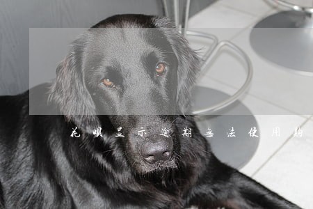 花呗显示逾期无法使用购物 花呗显示逾期无法使用购物
